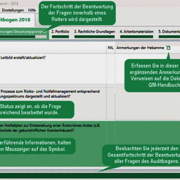 Screenshot QM EXPRESS Auditbogen